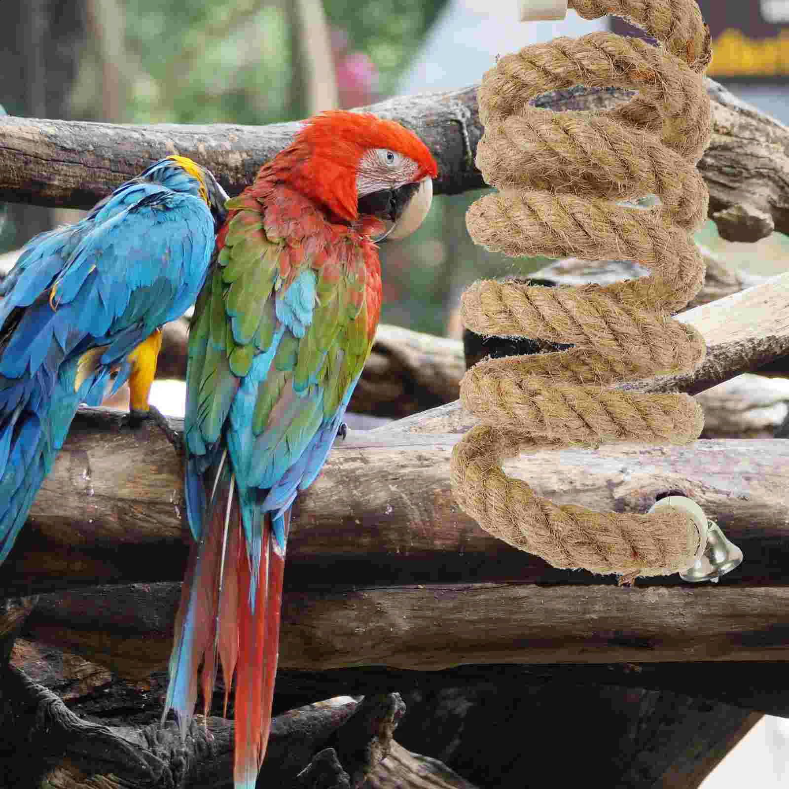 Bird Bed Large Cage Parrot Rope Perch Bird Toys Toy Climb Hanging Stand Play Standing Spiral 250121