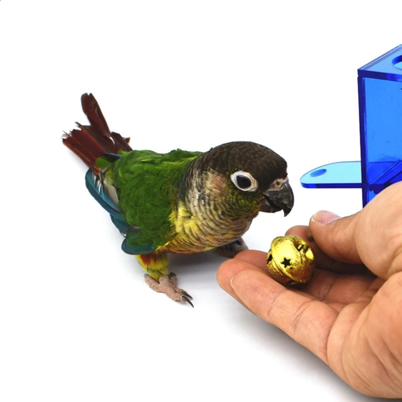 Parrot Foraging Toy for Bird Intelligence Growth Clear Acrylic Box with Metal Strengthen Relationship with Birds 250121