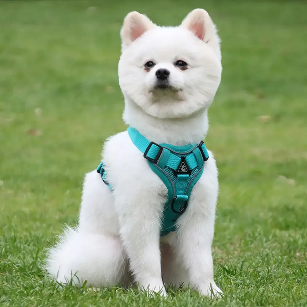 Pet Dog Harness Soft Breathable Leash Set Reflective for Small Medium Dogs Chihuahua Puppy Collar Cat Pet Dog Chest Strap Leash 250121