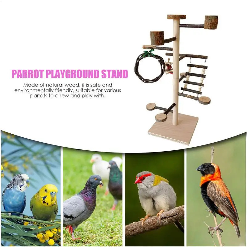 Bird Playground Parrot Play Stand Sturdy Wood Playstand For Parrots Bird Playground Training Wood Stand Perch For Cockatiel 250121