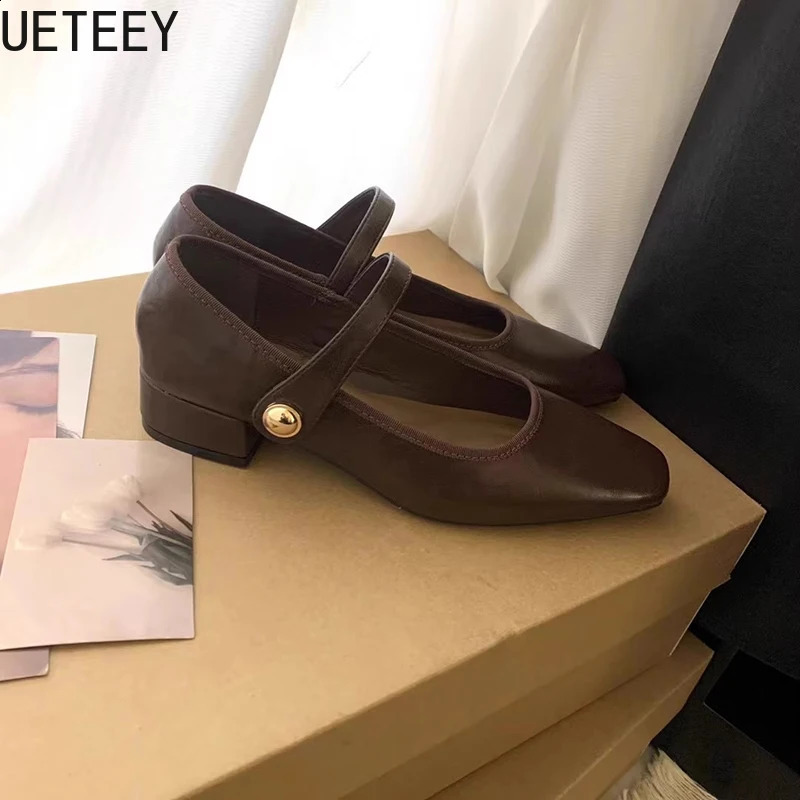 Vintage Spring Women Mary Jane Shoes Fashion Shallow Buckle Shoes Elegant Low Heel Shoes 250118