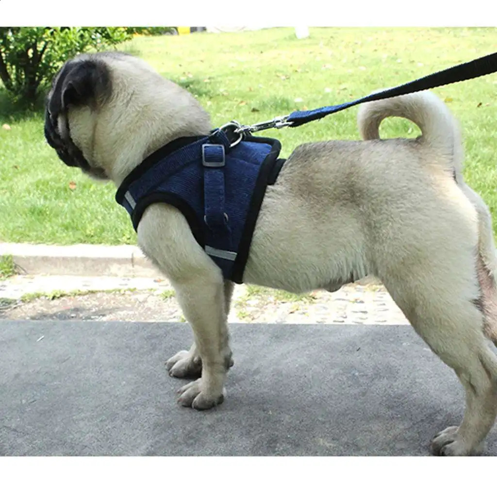 Dog Harness Leash Set for Small Dogs Adjustable Puppy Cat Harness Vest French Bulldog Chihuahua Pug Outdoor Walking Lead Leash 250121