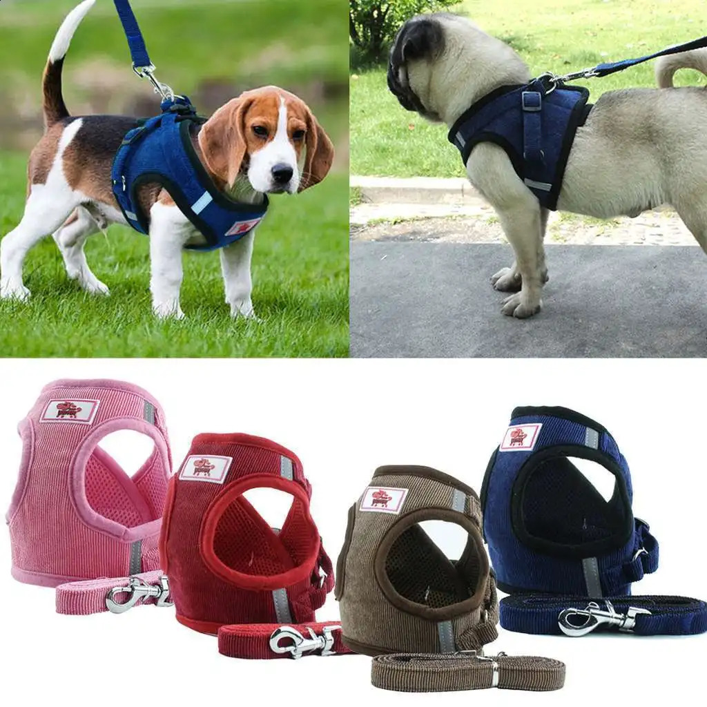 Dog Harness Leash Set for Small Dogs Adjustable Puppy Cat Harness Vest French Bulldog Chihuahua Pug Outdoor Walking Lead Leash 250121