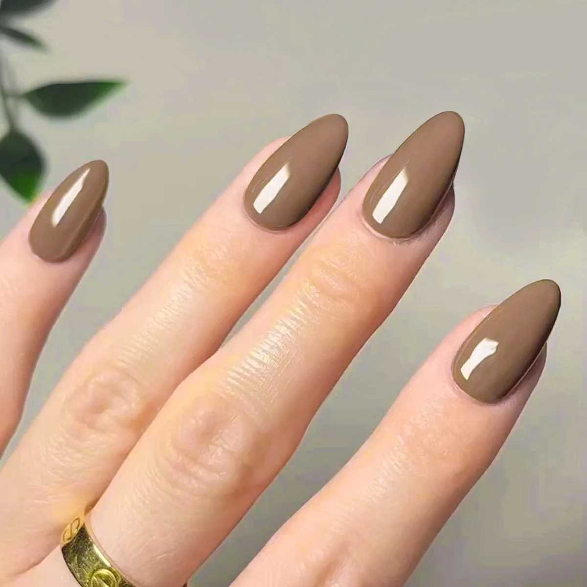 Classic Glossy Solid Color Long Pointed Fake Nails Brown Green Grey Blue Detachable Finished False Nails Press on Nail with GlueW250120
