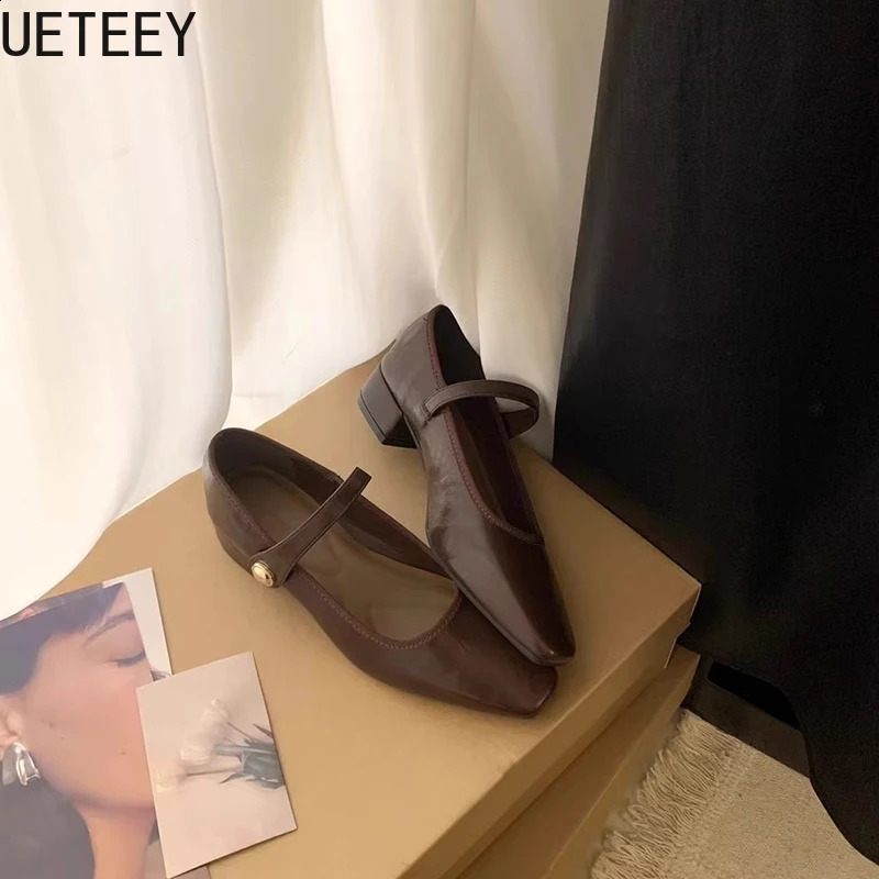 Vintage Spring Women Mary Jane Shoes Fashion Shallow Buckle Shoes Elegant Low Heel Shoes 250118