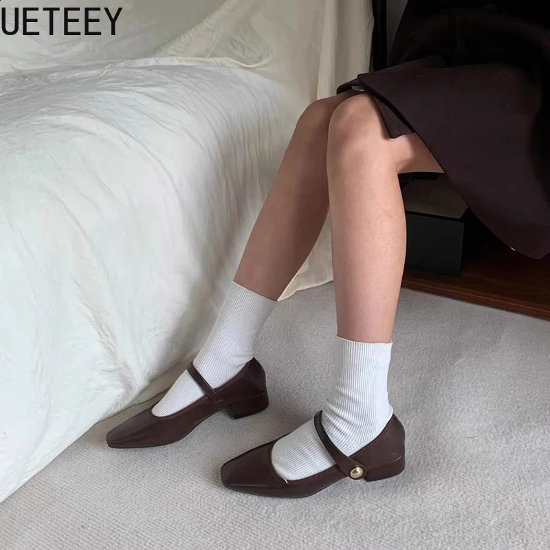 Vintage Spring Women Mary Jane Shoes Fashion Shallow Buckle Shoes Elegant Low Heel Shoes 250118