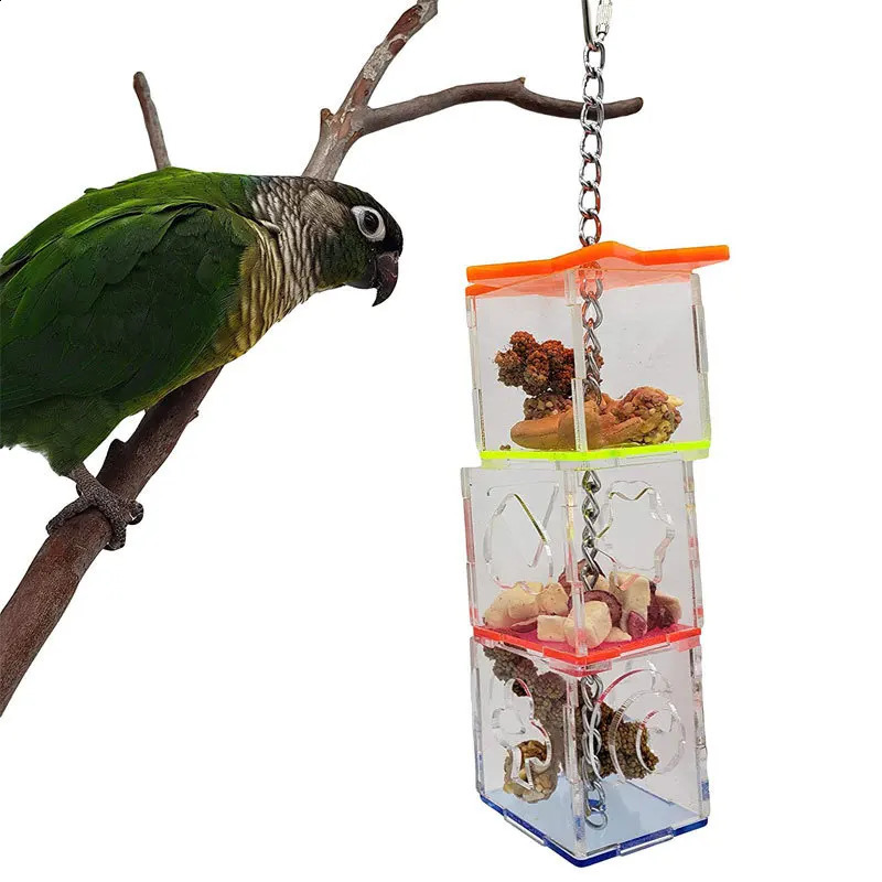 Bird Seeker Acrylic Parrot Puzzle Training Bird Toys Bird Supplies Parrot Toys 250121