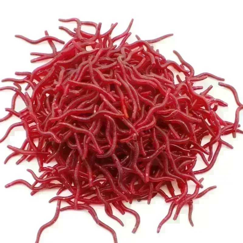 10/20/50/100/200pcs Soft Lure Bass Bream Bloodworm Fishing Earthworm Worm Rubber Red Worms Baits Fishy Smell Realistic TackleXJ250122