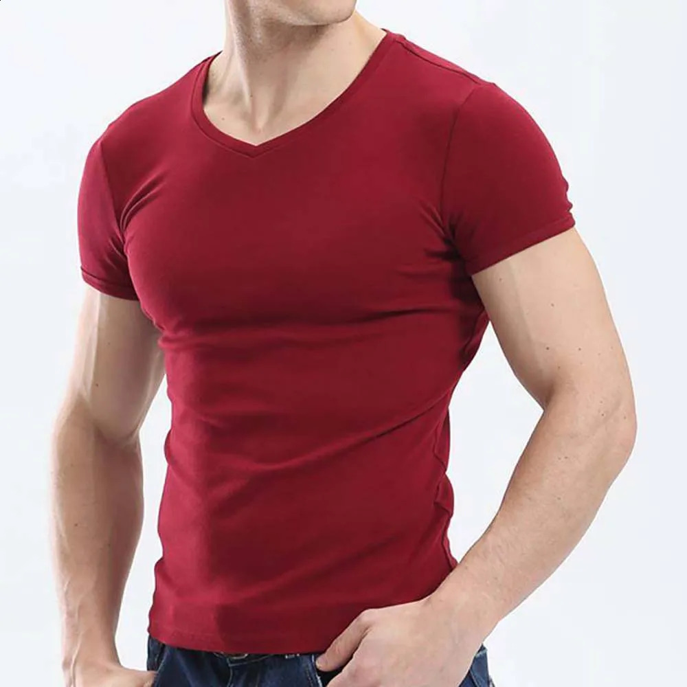 2025 Casual Tops Men T Shirt Fitness Tshirts Mens V neck Man Tshirt For Male M4XL Plue Size TDX03 250120