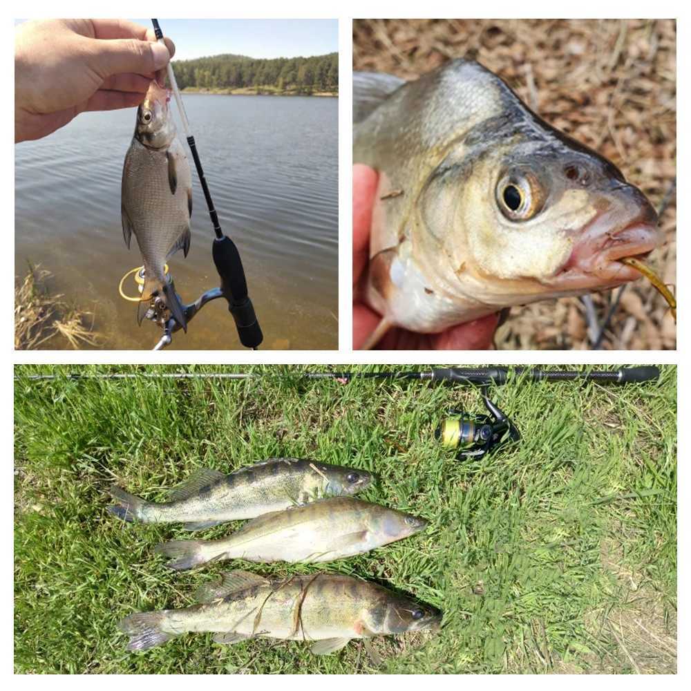 Spinpoler Soft Bait Fishing Lure Shad Stick Worm Sea Bass Fake Earthworm Artificial Trout Bass Drop Shot Perch Leurre 10pcs/PackXJ250122