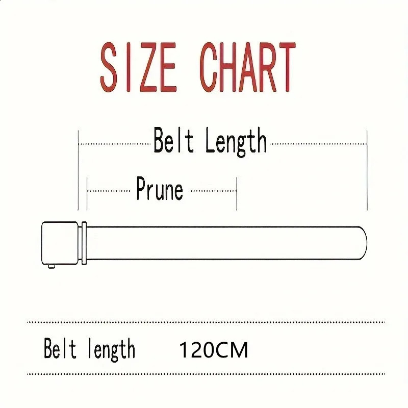 2PC Stylish Canvas Belt for Men Belts with QuickRelease Plastic Buckle Sporty Style Casual Training Jeans Accessory 250114