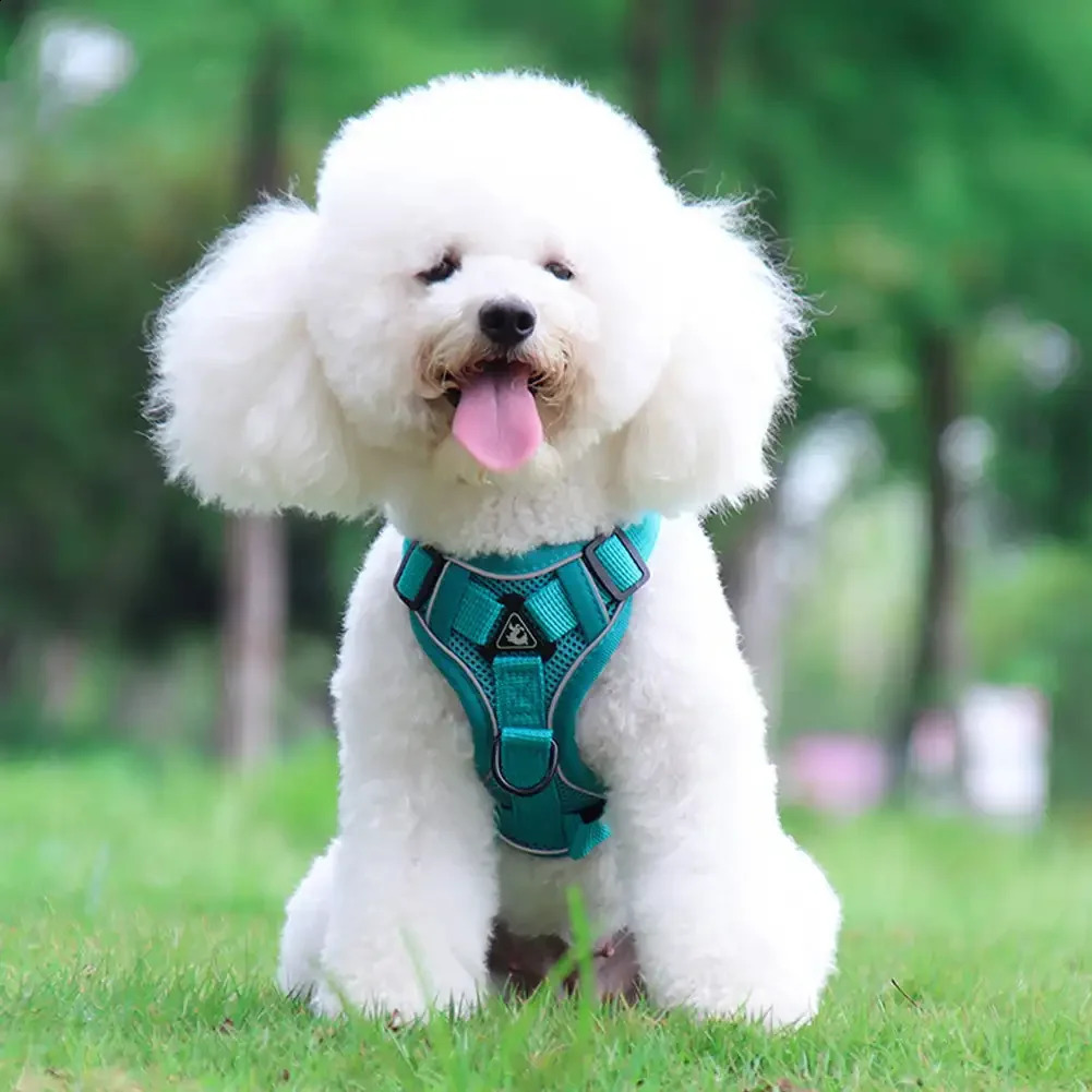 Pet Dog Harness Soft Breathable Leash Set Reflective for Small Medium Dogs Chihuahua Puppy Collar Cat Pet Dog Chest Strap Leash 250121