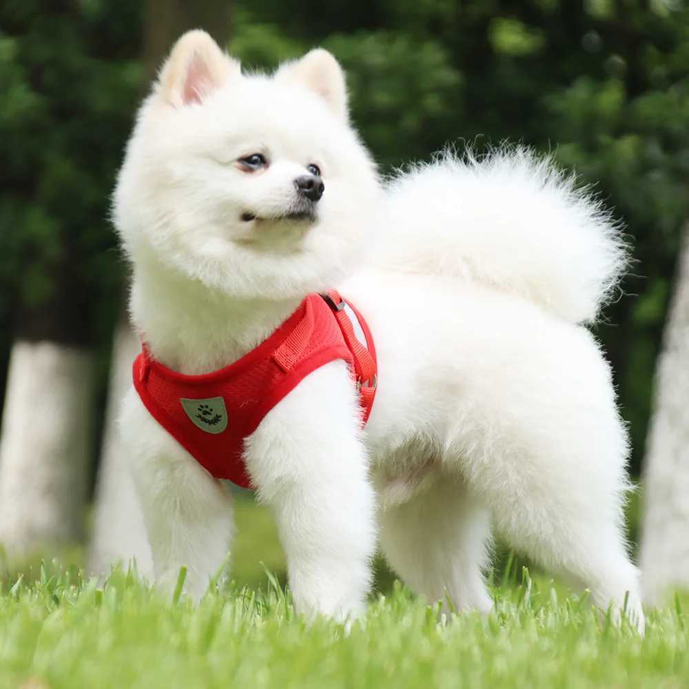 Dog Harness and Leash Set Outdoor Training Walking Harnesses Safety Sport Puppy Vest Pet Harness For Small Dogs Cats 250116