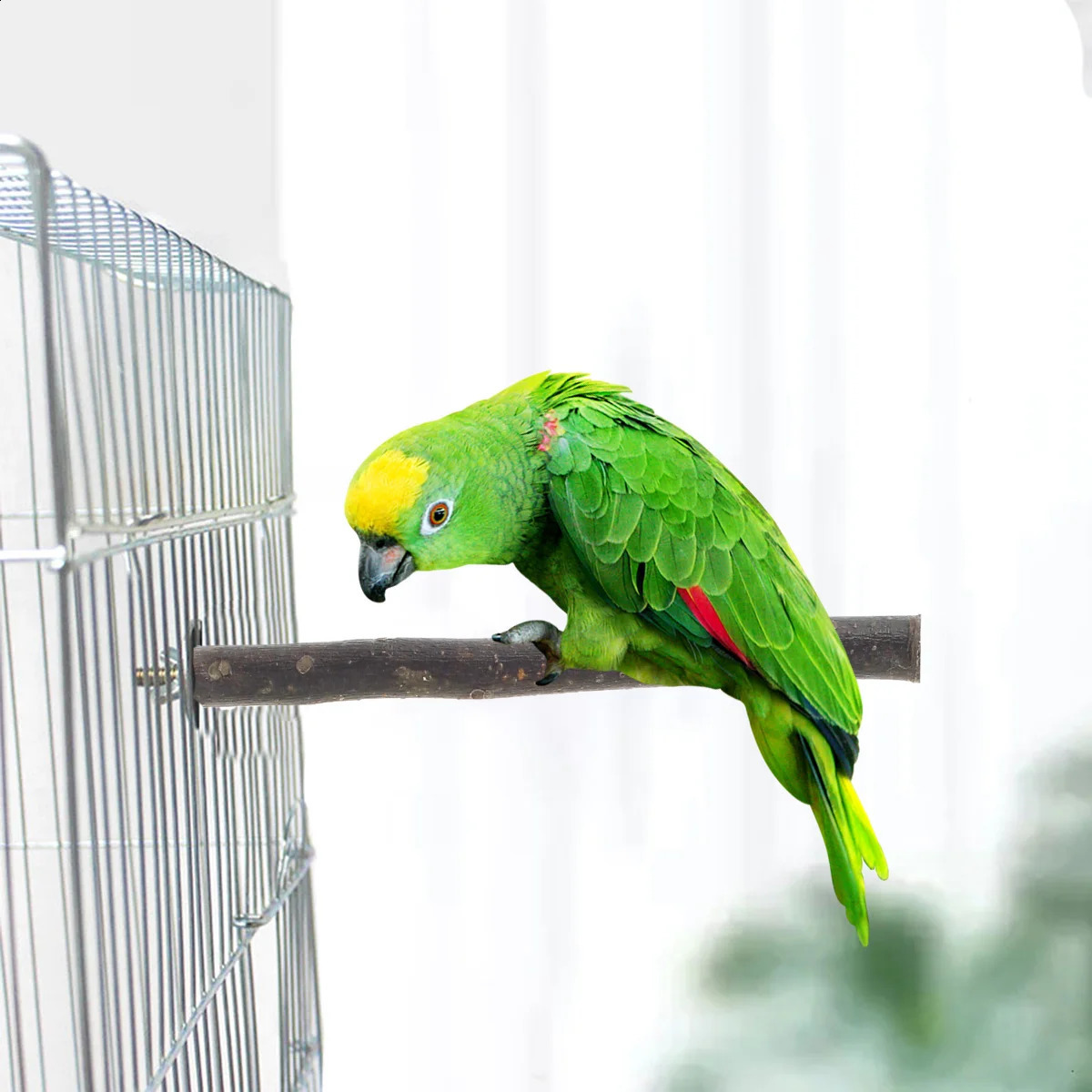 Bird Perch Paw Grinding Fork Natural Wood Bird Stand for Parakeets Chewing Exercise Branches Bird Cage Accessories for Cockatiel 250121