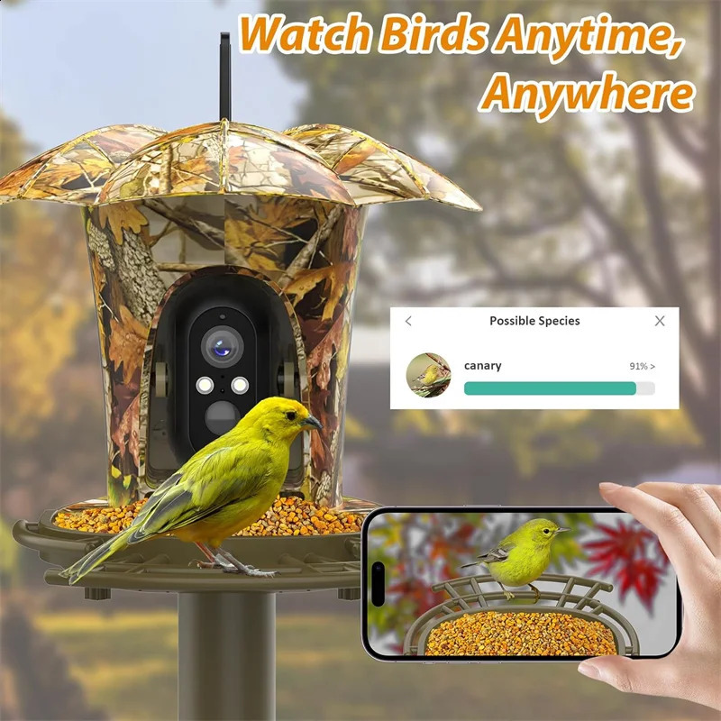 Smart Bird Feeder Camera1080P HD11000 Bird Species Camera Auto Capture6W Solar Panel Bird SpeciesBird House with 64G Card 250121