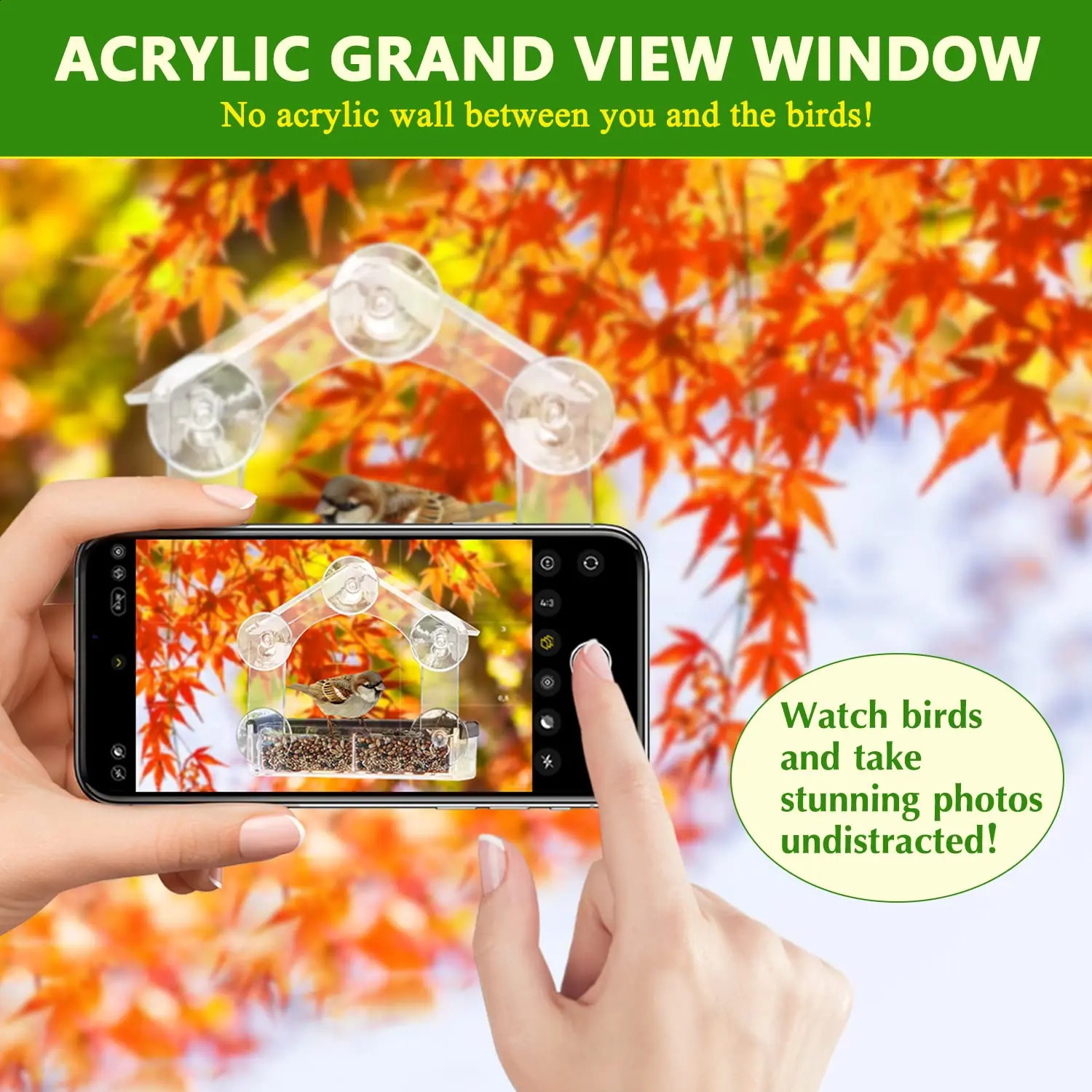 Acrylic Window Bird Feeder Detachable Birds Feeders Tray Transparent Outside Birdhouse for Cat Window Perch 250121