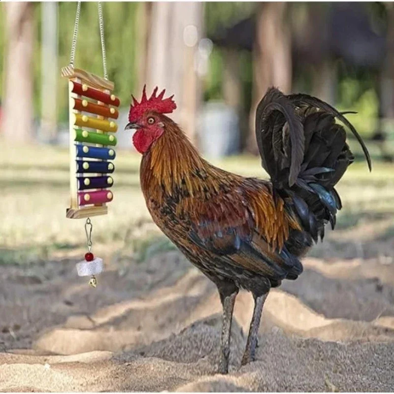 Colorful Bird Xylophone Toy Parrots Chicken Toys Bird Cage Toy Accessories Parakeets and Parrots Toys 250121