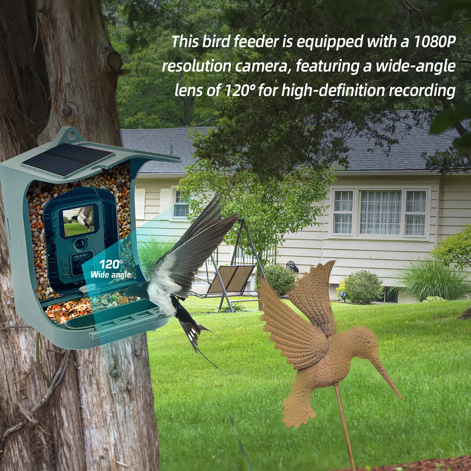 Solar Powered 1080P Wireless WiFi Smart Bird Feeder Camera Waterproof Bird Watching Camera 250121