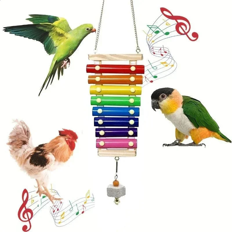 Colorful Bird Xylophone Toy Parrots Chicken Toys Bird Cage Toy Accessories Parakeets and Parrots Toys 250121