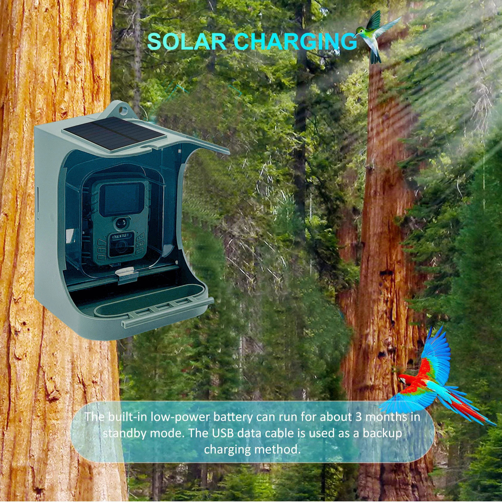 Solar Powered 1080P Wireless WiFi Smart Bird Feeder Camera Waterproof Bird Watching Camera 250121
