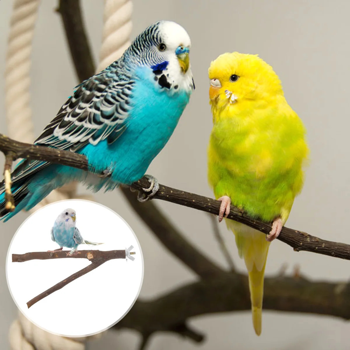 Bird Perch Paw Grinding Fork Natural Wood Bird Stand for Parakeets Chewing Exercise Branches Bird Cage Accessories for Cockatiel 250121
