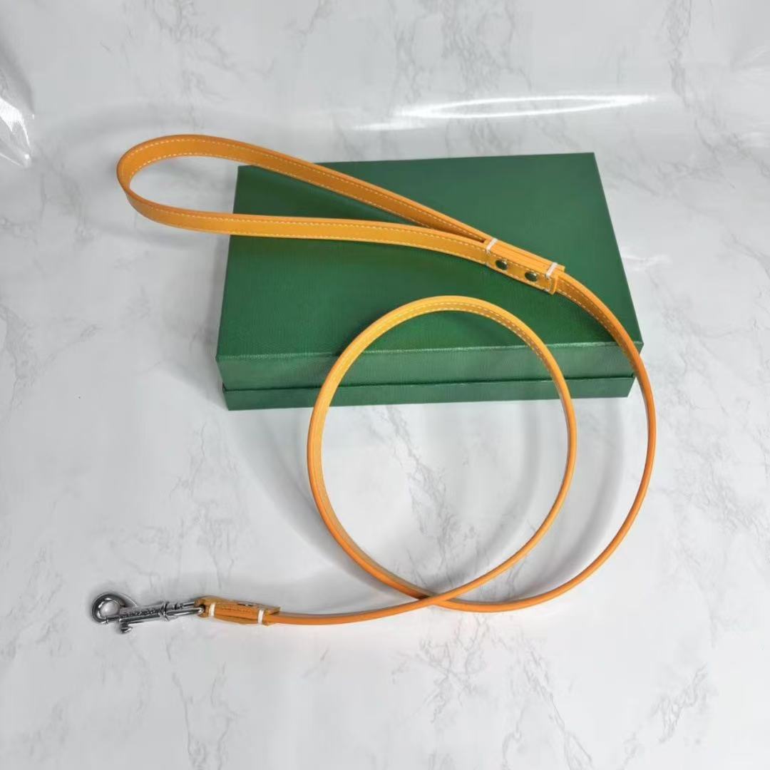 Designer Dog Collar Golden Classic Set Fashion Brands Adjustable Puppy Leash Pet Outdoor Running Training Necklace Rope Tie