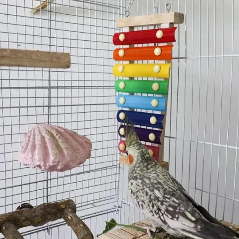 Colorful Bird Xylophone Toy Parrots Chicken Toys Bird Cage Toy Accessories Parakeets and Parrots Toys 250121