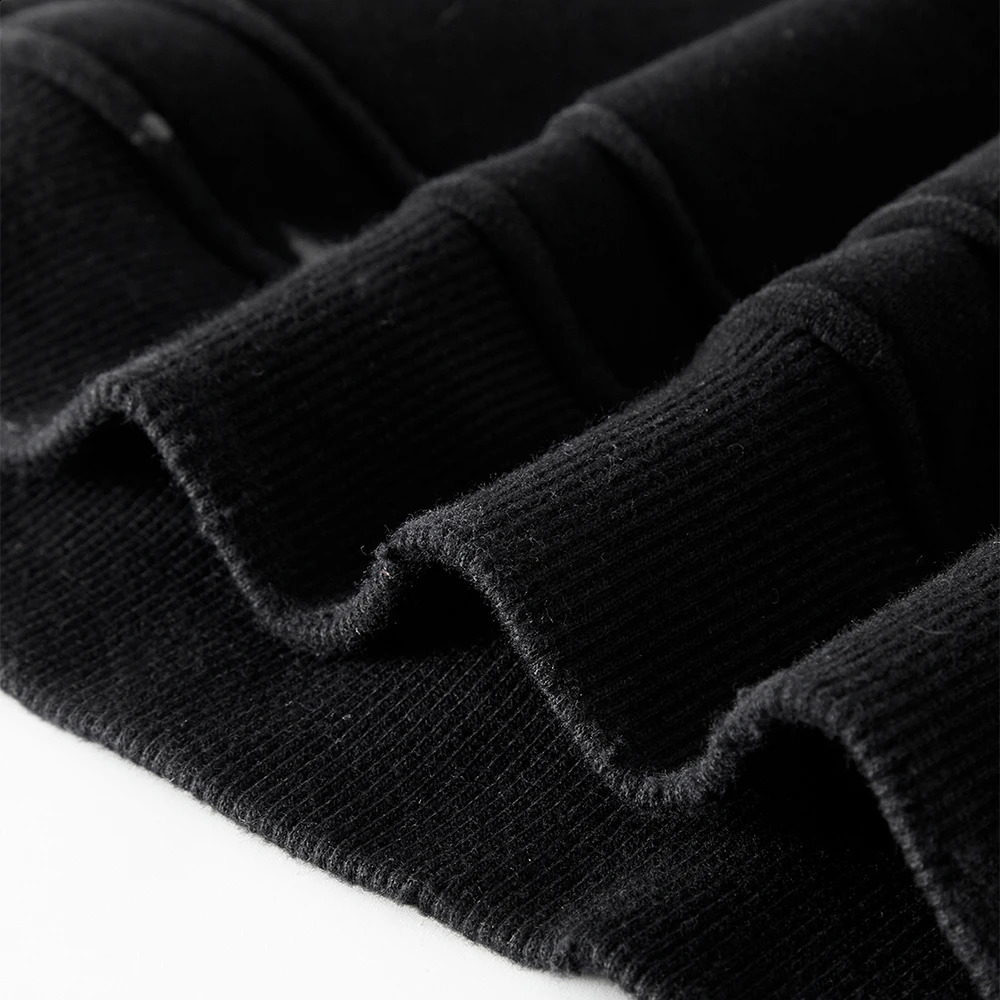 VIPReAlr2024 Winter Hoodie Retro Harajuku Fashion Washed Cotton 360GSM Pullover Sweatshirt Y2K RE Alr 250109Z