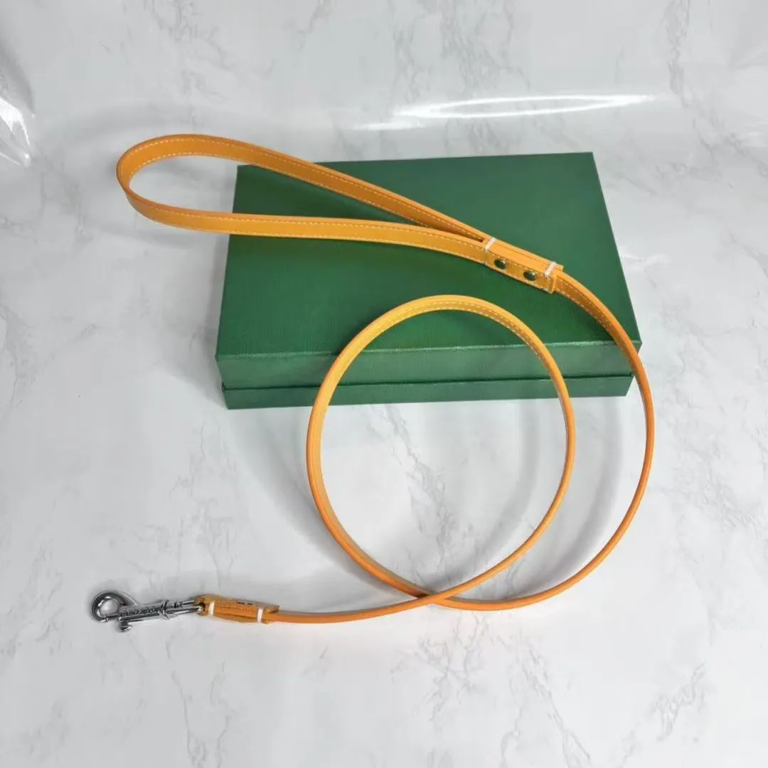 Designer Dog Collar Pet Collar Cat Collar Golden Classic Set Fashion Brands Adjustable Puppy Leash Pet Outdoor Running Training Necklace Rope Tie