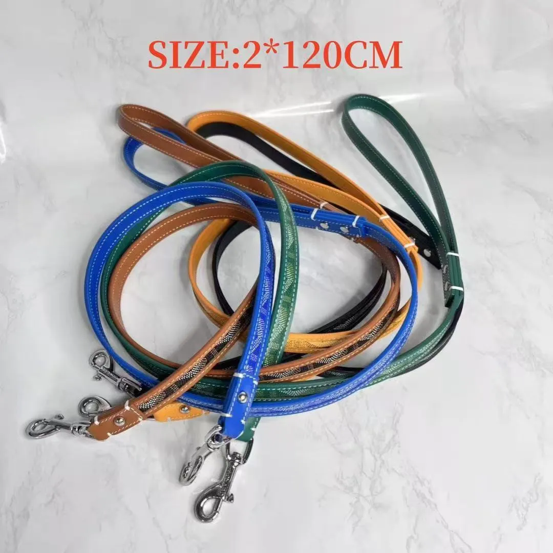 Designer Dog Collar Pet Collar Cat Collar Golden Classic Set Fashion Brands Adjustable Puppy Leash Pet Outdoor Running Training Necklace Rope Tie
