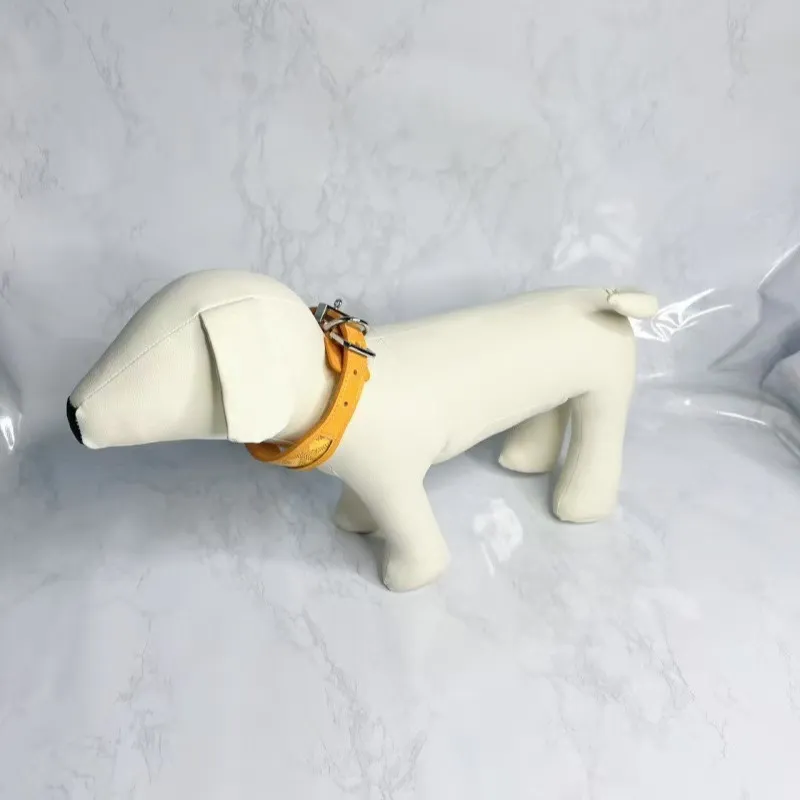 Designer Dog Collar Pet Collar Cat Collar Golden Classic Set Fashion Brands Adjustable Puppy Leash Pet Outdoor Running Training Necklace Rope Tie