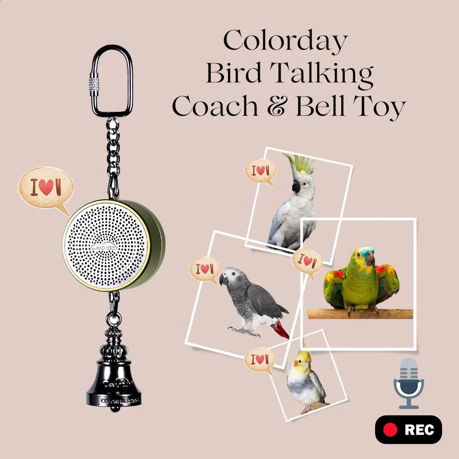 Parrot Toys to Teaching Training Bird Talking Interactive Recording Playback Retell Electronic Voice Chewing Tearing Bell 250206ww