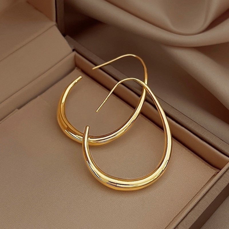 925 Silver Needle Geometric Oval Hoop Earrings For Women Simple Desgin Earrings Party Wedding Jewelry eh2008250120