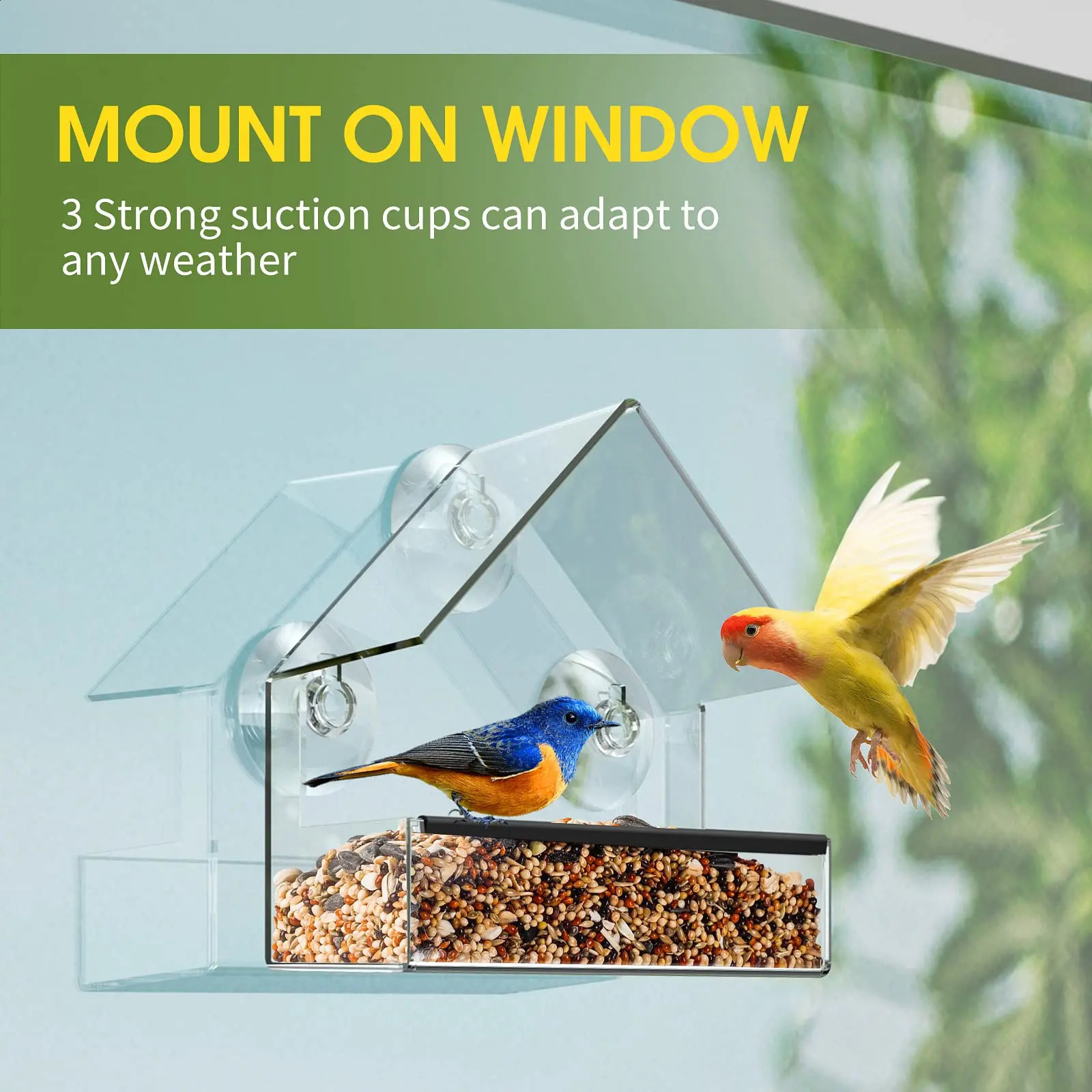 2 Pack Samll Window Bird Feeder Clear Window Bird Feeders with Strong Suction Cups Bird House for Outside Wild Birds 250121