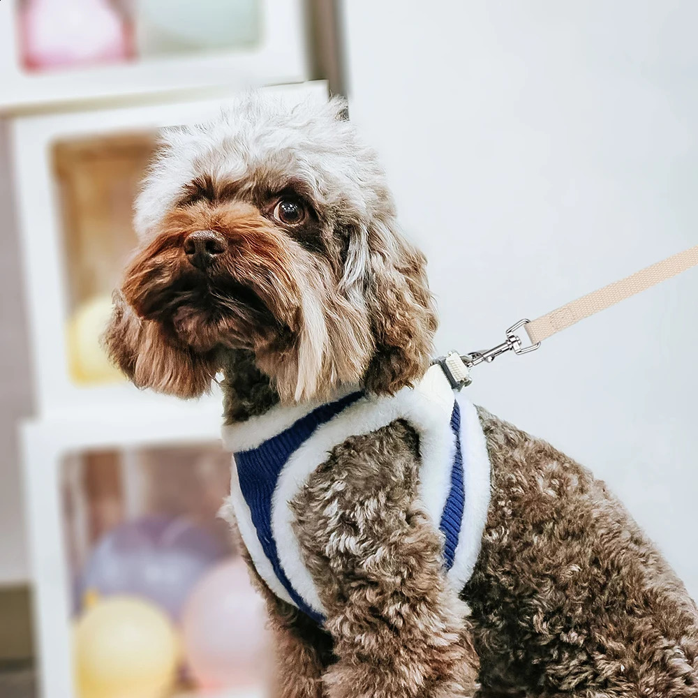 Warm Dog Harness Leash Set Soft Puppy Dog Harnesses With Fur Pet Walking Lead Adjustable Vest For Small Medium Dogs Chihuahua 250206