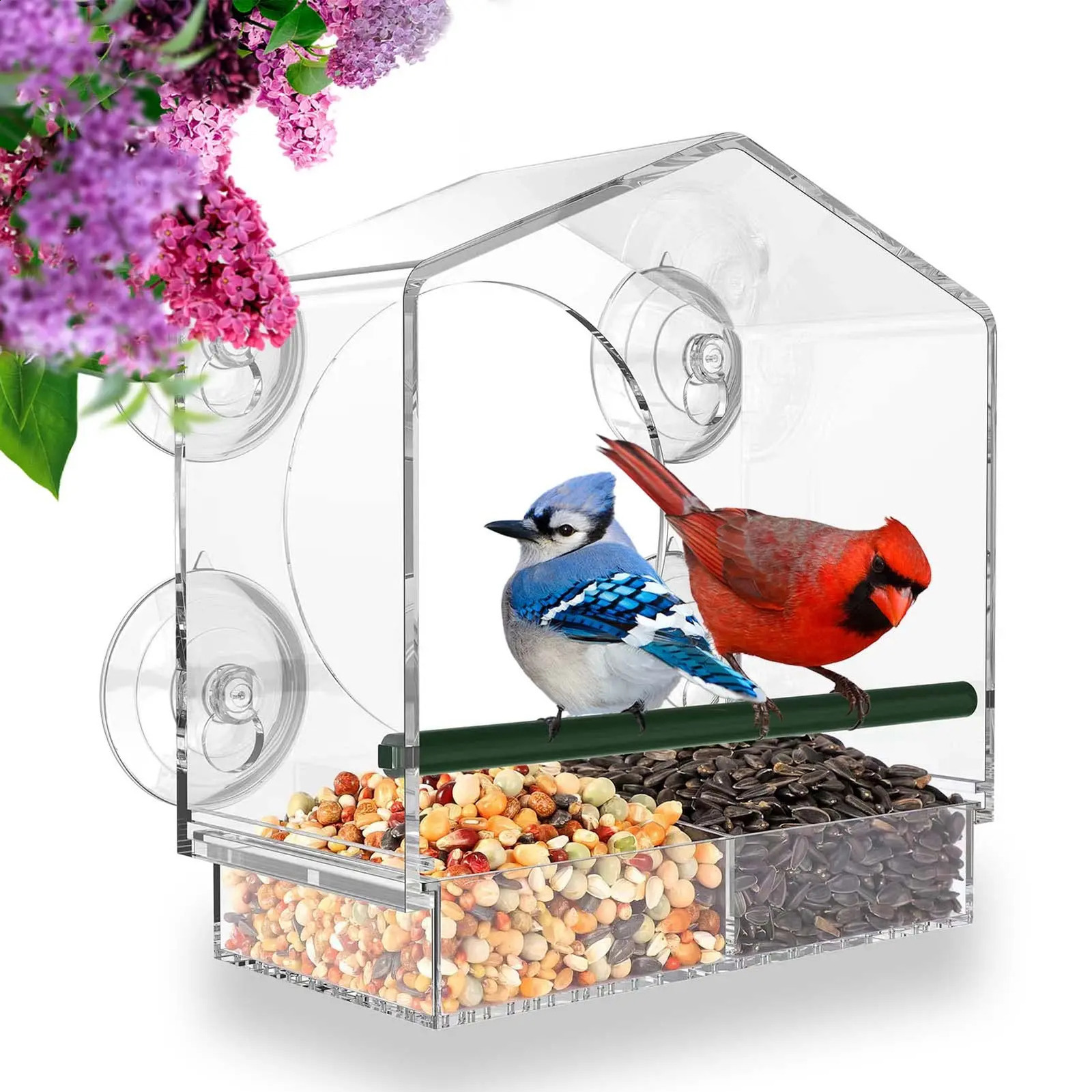 Window Bird Feeder Gram Reuse Tray House Shape Waterproof Transparent Squirrel Food Container Outdoor Suction Cup Installation 250121