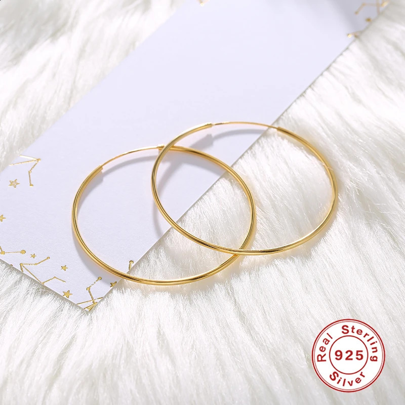 ROXI Minimalism Thin Round Hoop Earrings For Women 925 Sterling Silver Earrings Jewelry Big Hoop Pendientes Plata 925 Earring 250207