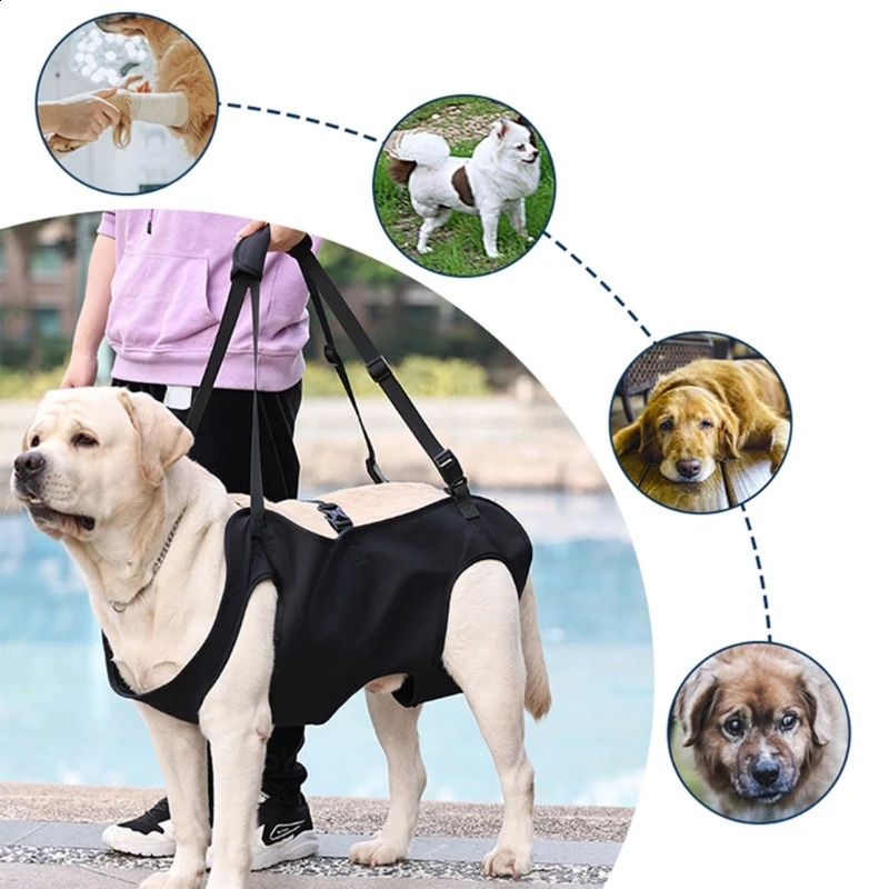 Dog Body Support Dog Lift Harness for Injured Elderly Dogs Disabled Pet Supplies 250206