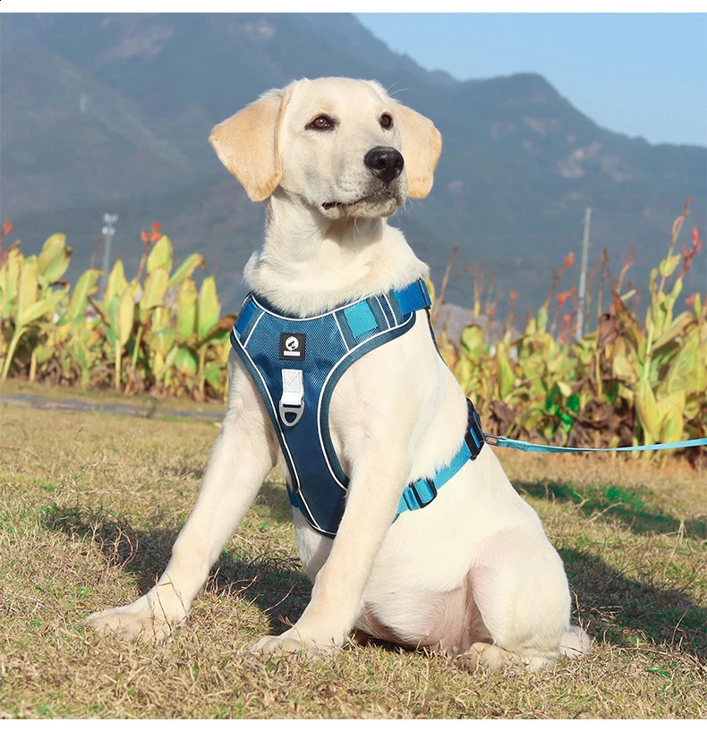 Medium Large Dog Harnesses Collar Labrador Army Reflective Adjustable Harness Oxford Cloth Pet Vest Training Hound Walk the Dog 250206