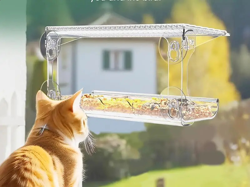 Window Bird Feeder for Outdoors Clear Bird Feeders Window Mounted with Strong Suction Cups Transparent Bird House Outside Wild 250121