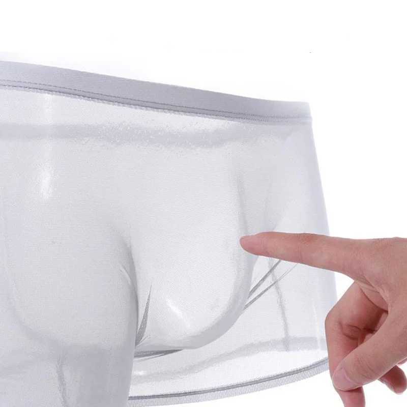 Mens Underwear Transparent Boxers Bulge Ice Silk See Through Underpants Sexy Briefs Low Waist Panties Lingerie IntimatesXJ250207