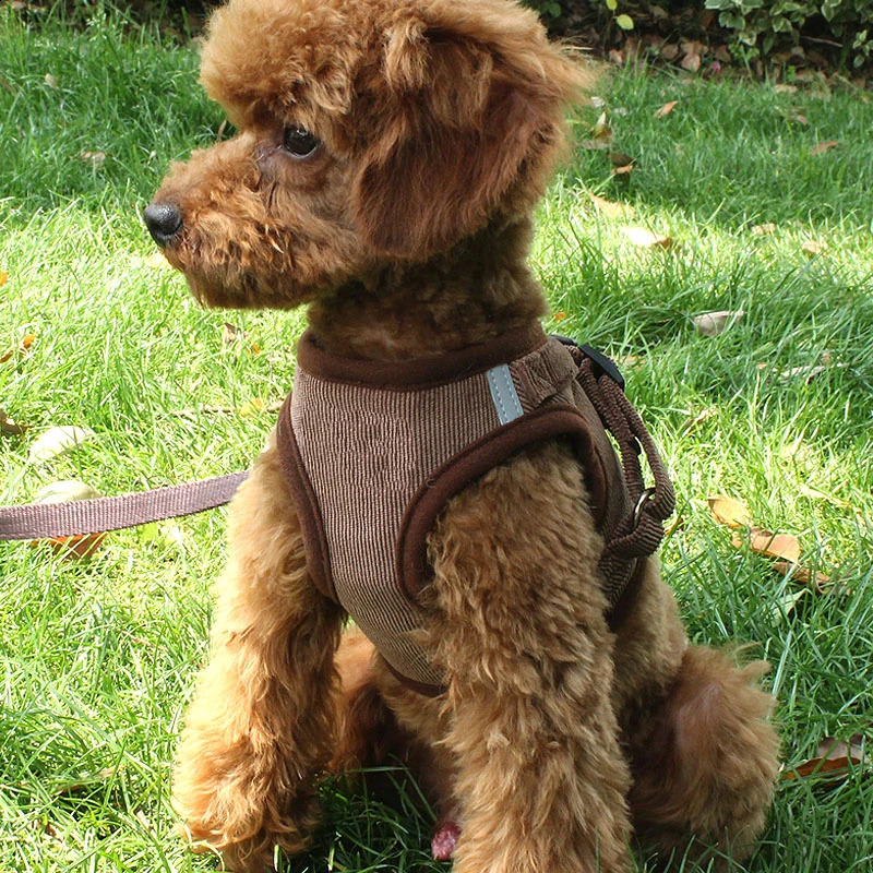 Reflective Pet Dog Vest Harness And Leash Set Windproof Corduroy Adjustable Chest Strap Breathable Mesh Harnesses For Dogs 250206