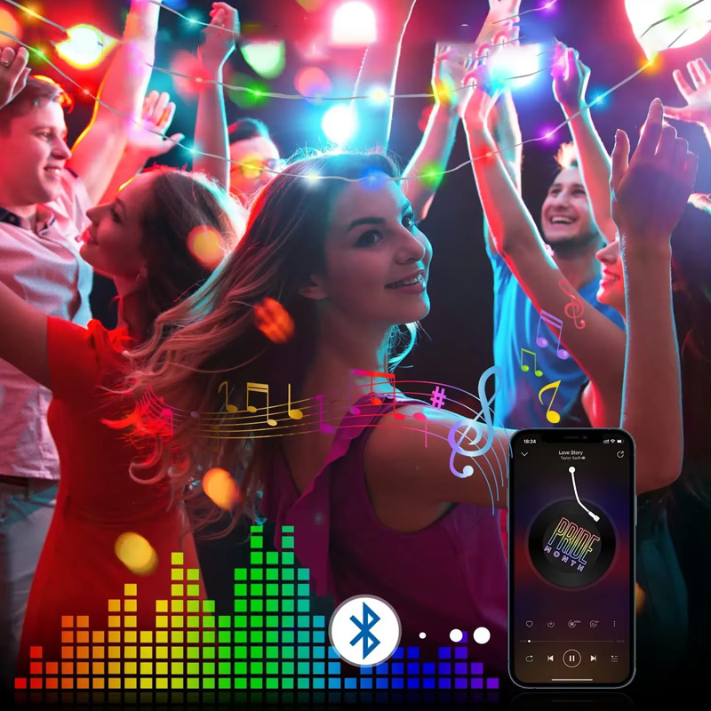 RGBIC Led Strip Light WS2812B Smart Bluetooth Remote Control String Fairy Lamp Christmas Garland Light Waterproof For Party Curtain Room