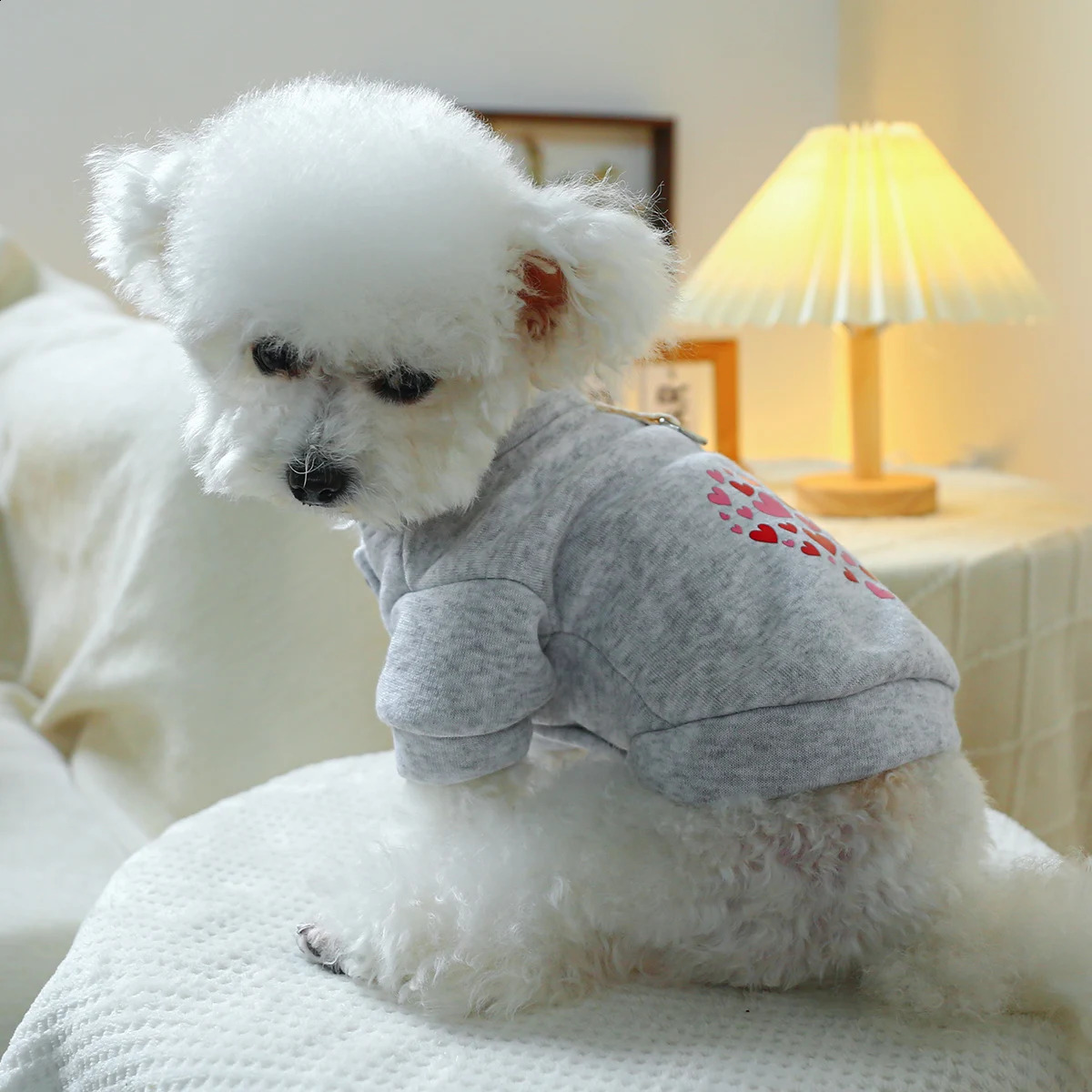 1PC Pet Clothing Dog Cat Valentines Day Red Love Coat with Drawstring Buckle Suitable for Small and Medium sized Dogs 250206