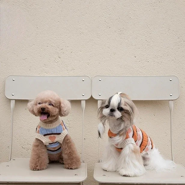 Autumn Winter Love Arctic Velvet Sweater Vest Pet Clothes Cats and Dogs Costumes Teddy Bichon Jacket Dog Clothes for Small Dogs 250206