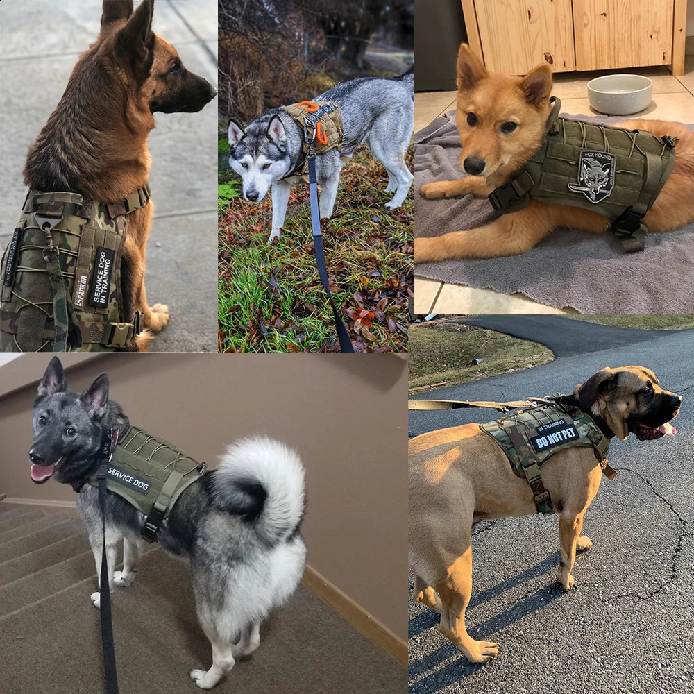 Tactical Dog Harness Leash Collar for Medium Large Dogs Military Pet Vest Adjustable Service Dog Harnesses For Training Walking 250206