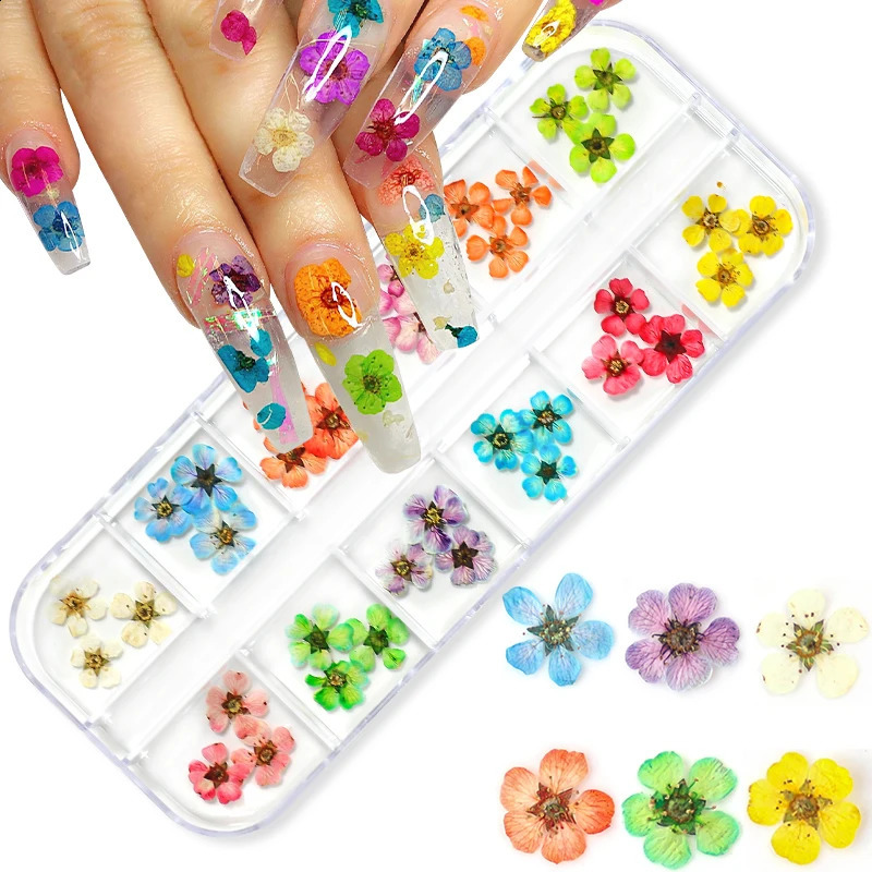 12 Grids 3D Dried Flowers Nail Art Decoration Decals Natural Floral Sticker ns Dry Flower DIY Manicure Accessories 250115
