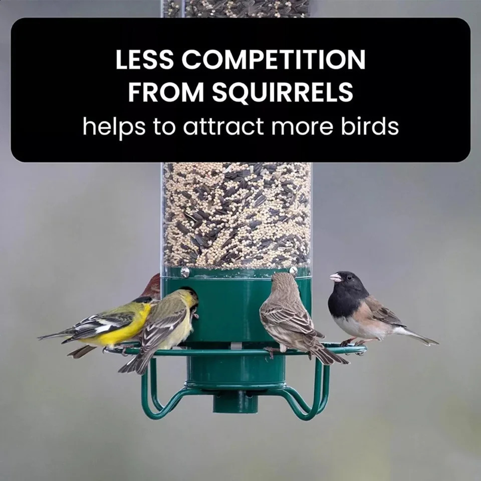 Squirrel-Proof Wild Bird Feeder Portable Bird Feeder For Garden Yard Outdoor Wrought Iron Hanging Hummingbird Feeder 250207