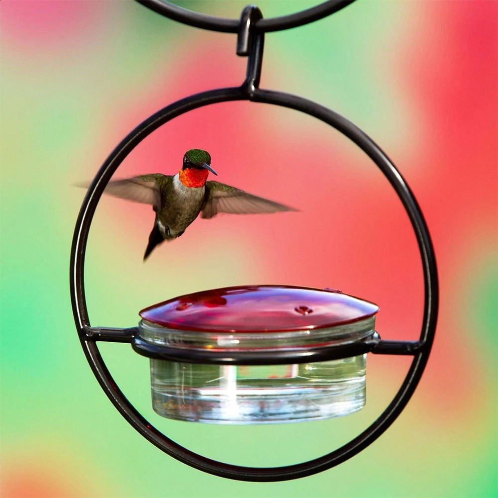 Hummingbird Drinker Feeder with Red Glass Bowl Outdoor Humming Bird Feeder Attract Birds for Outside Garden Backyard Patio Deck 250121