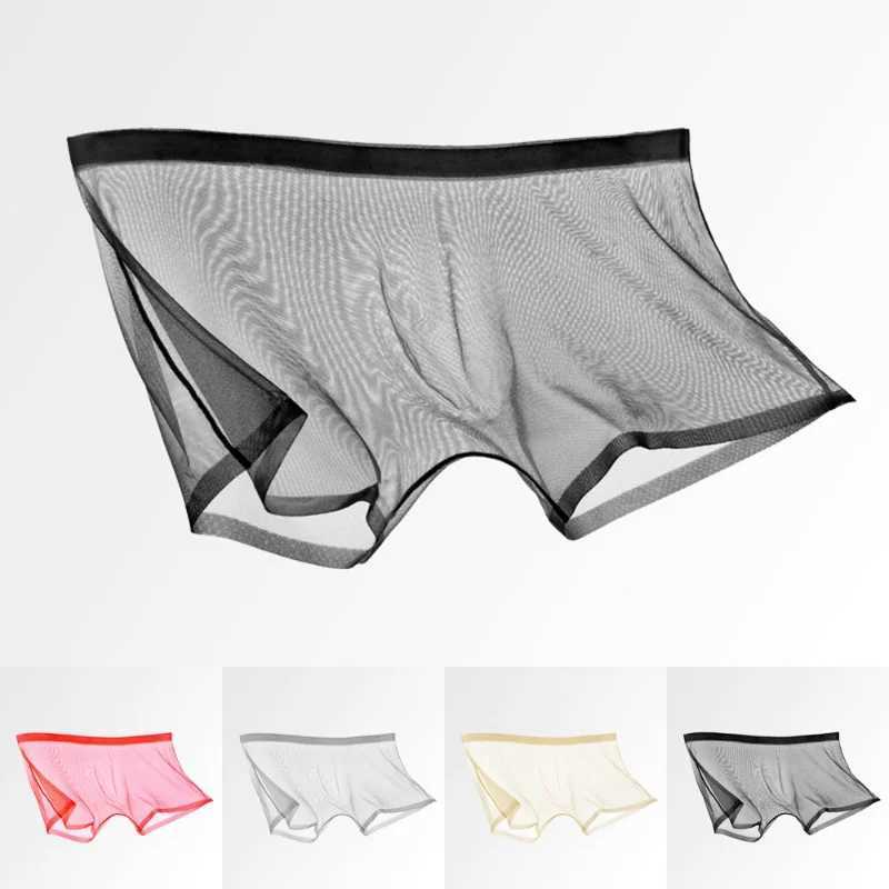 Mens Underwear Transparent Boxers Bulge Ice Silk See Through Underpants Sexy Briefs Low Waist Panties Lingerie IntimatesXJ250207